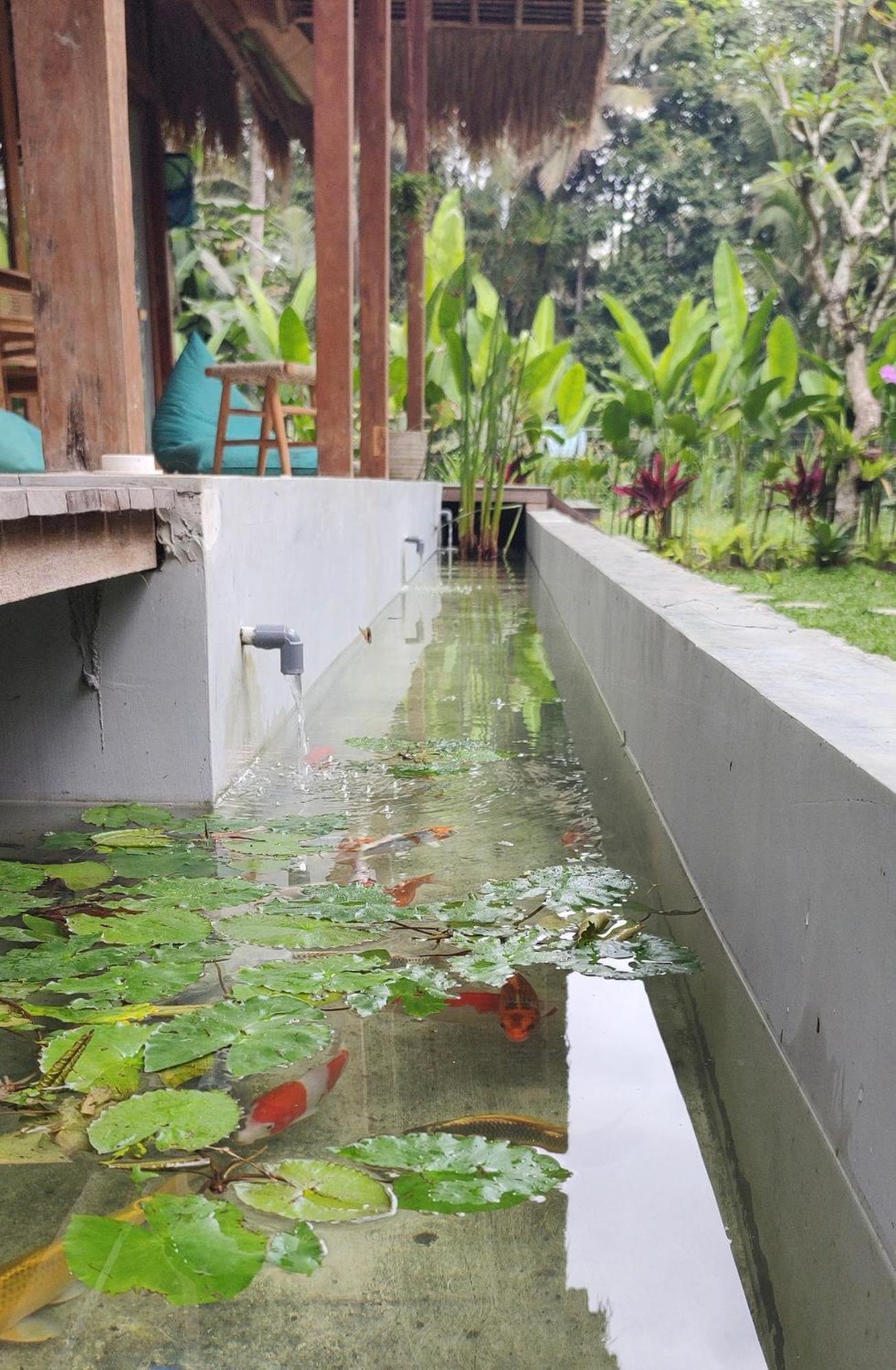 Rumah Guci Ubud  Bagian luar foto